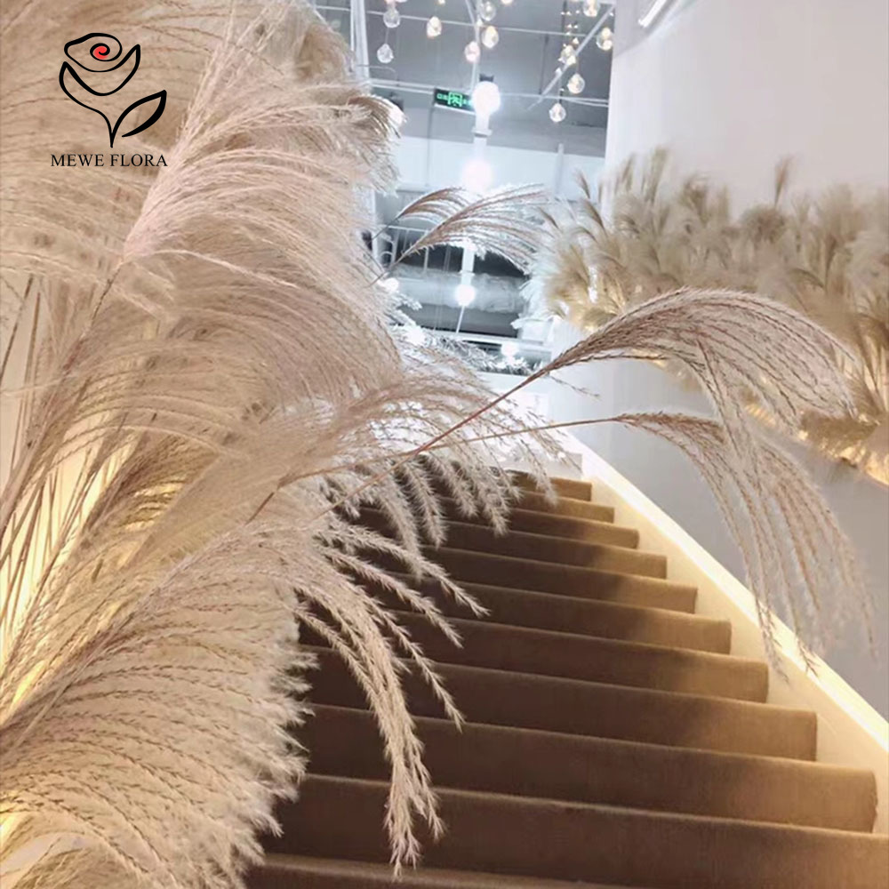 200PCS Natural Dried Fluffy Re - Pampas Grass Decor 评论和价格