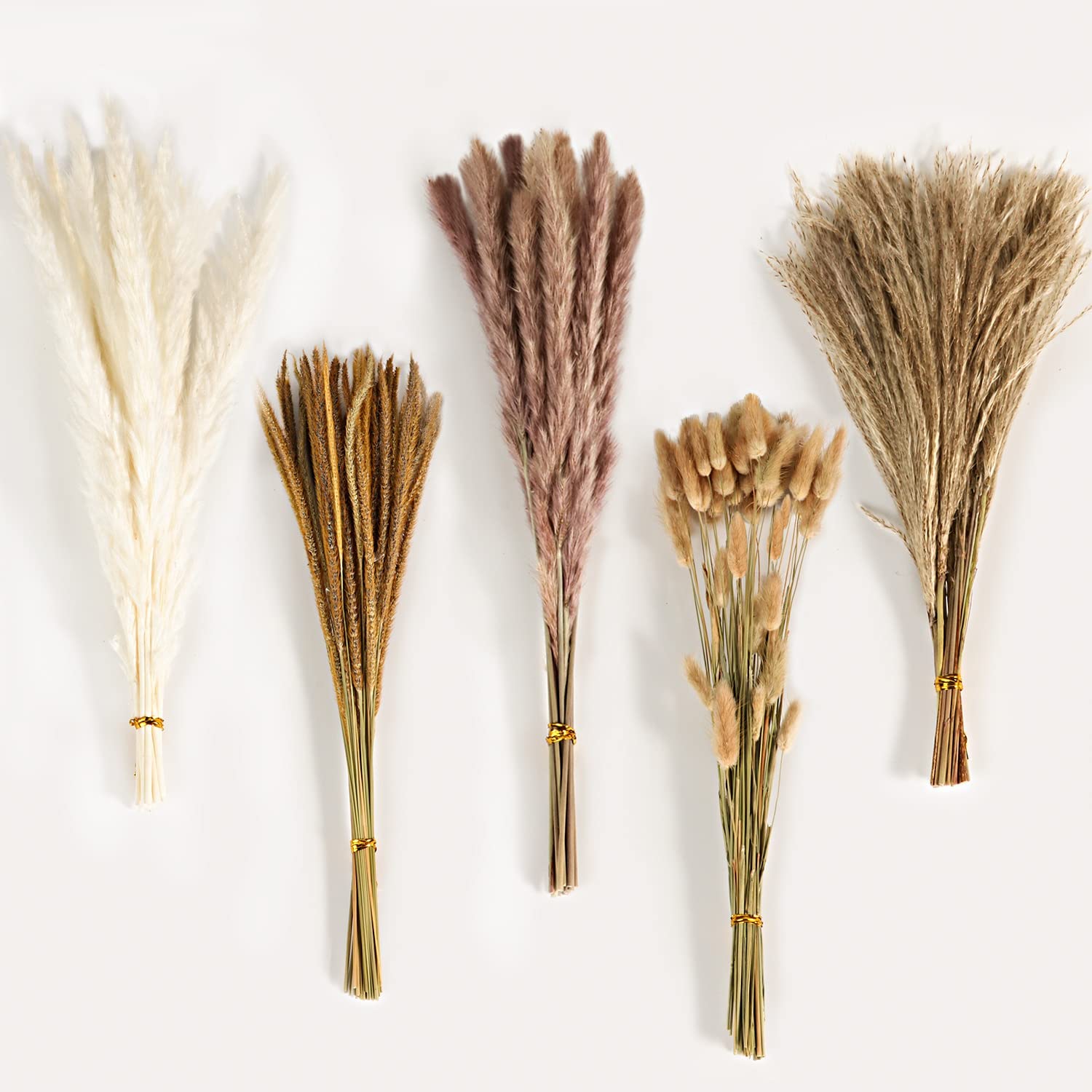 Autumn Vintage Mixed Dried Flo - Pampas Grass Decor 评论和价格