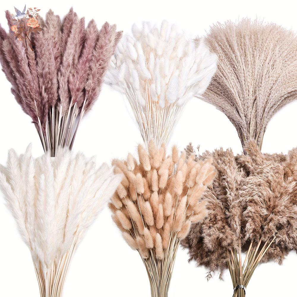 320PCS Mixed Fluffy Large Pamp - Pampas Grass Decor 评论和价格