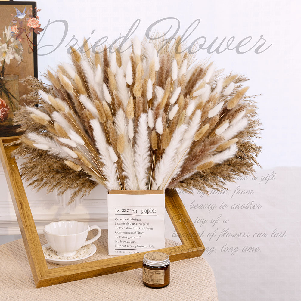 320PCS Mixed Fluffy Large Pamp - Pampas Grass Decor 评论和价格