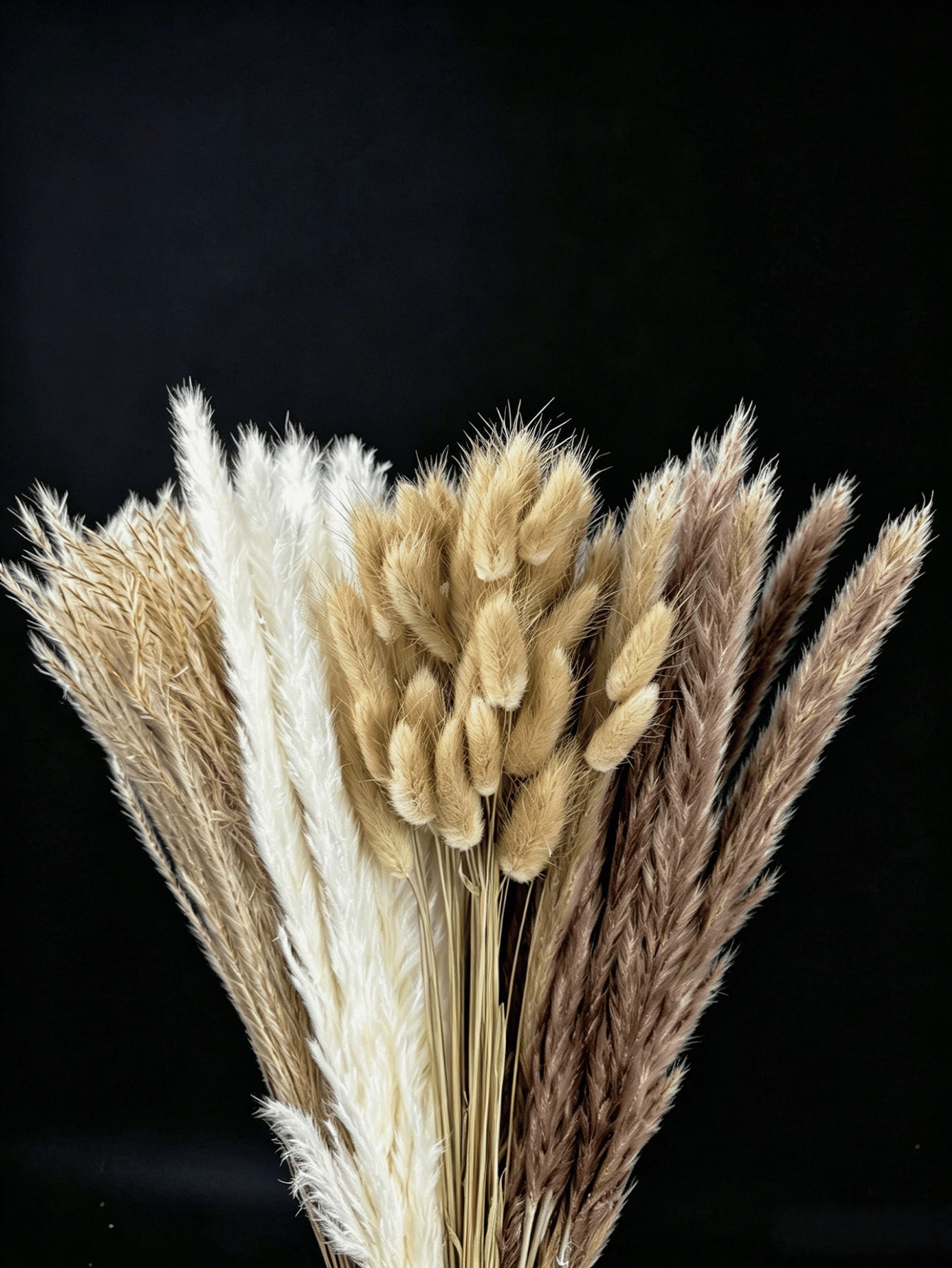 10/20/30pcs White Artificial P - Pampas Grass Decor 评论和价格