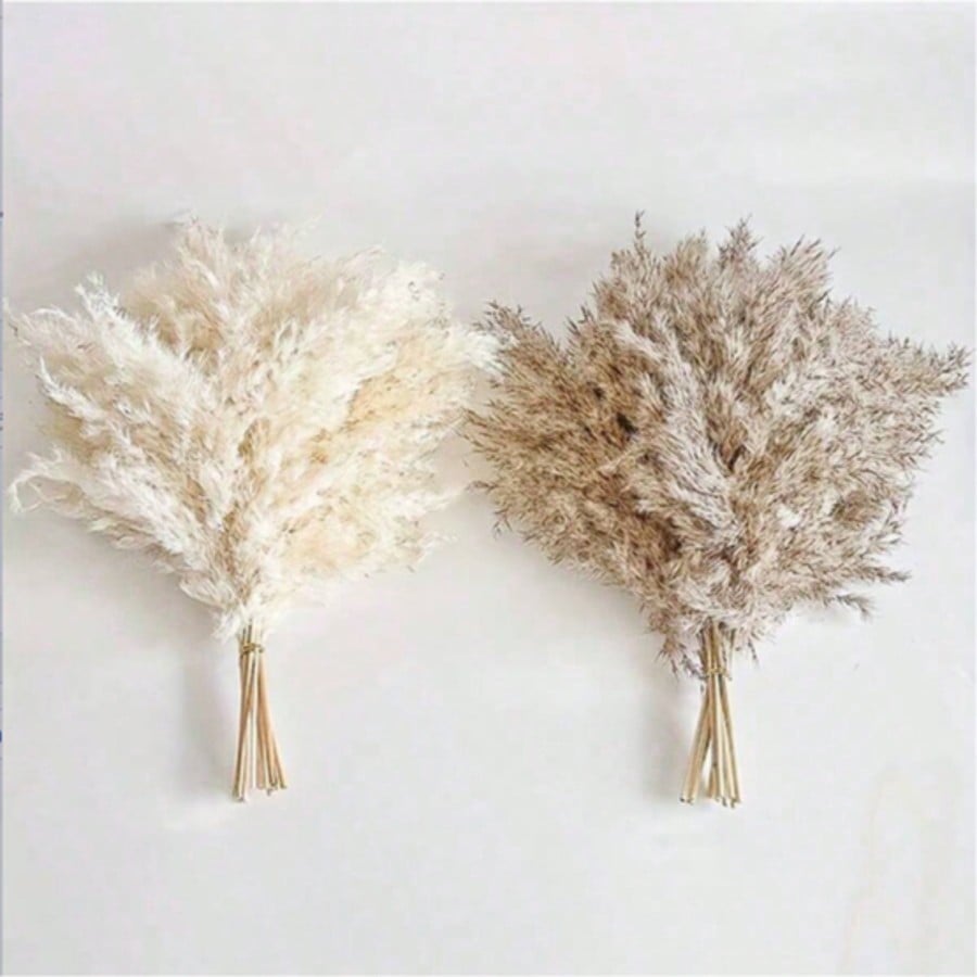 10/20/30pcs White Artificial P - Pampas Grass Decor 评论和价格