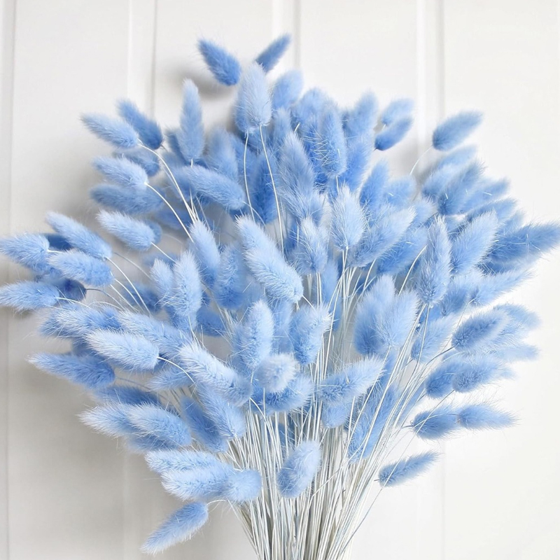 100PCS Blue Hare's-tail Grass  - Pampas Grass Decor 评论和价格