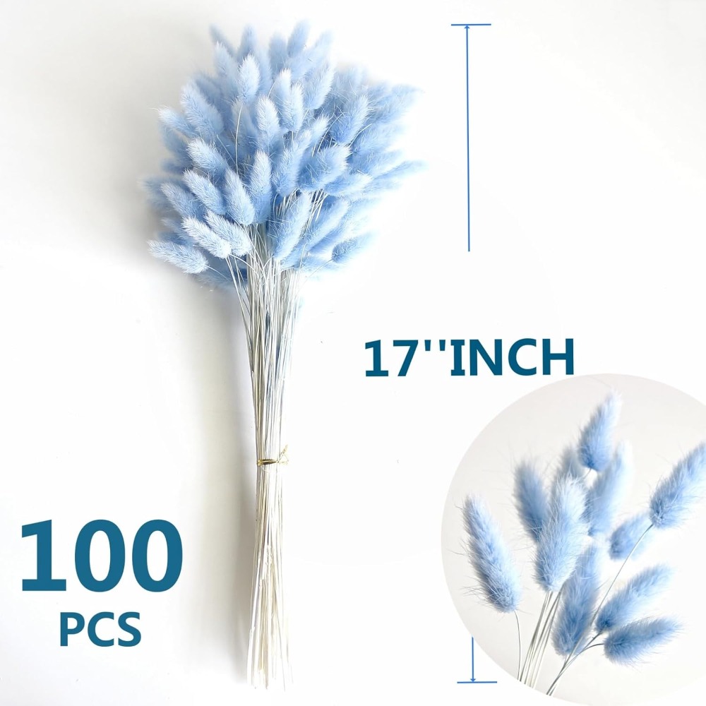 100PCS Blue Hare's-tail Grass  - Pampas Grass Decor 评论和价格