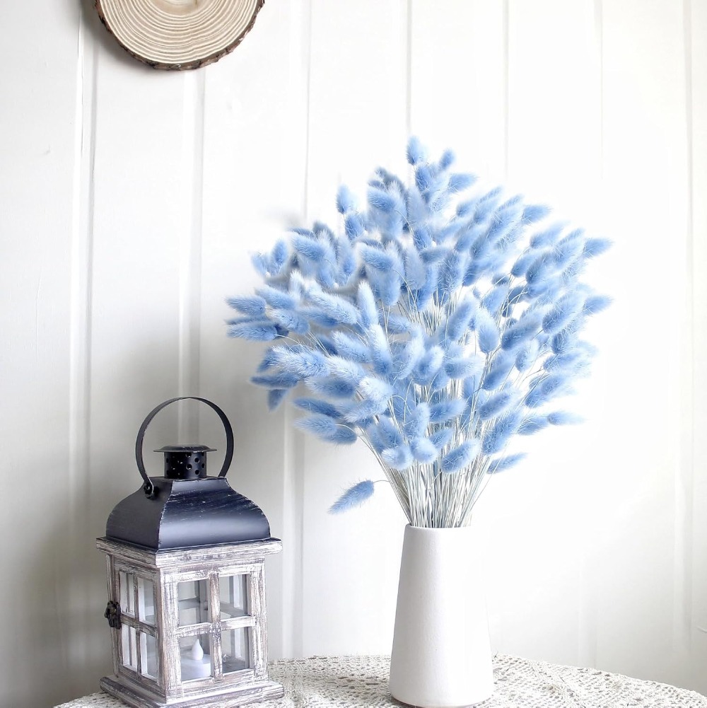 100PCS Blue Hare's-tail Grass  - Pampas Grass Decor 评论和价格